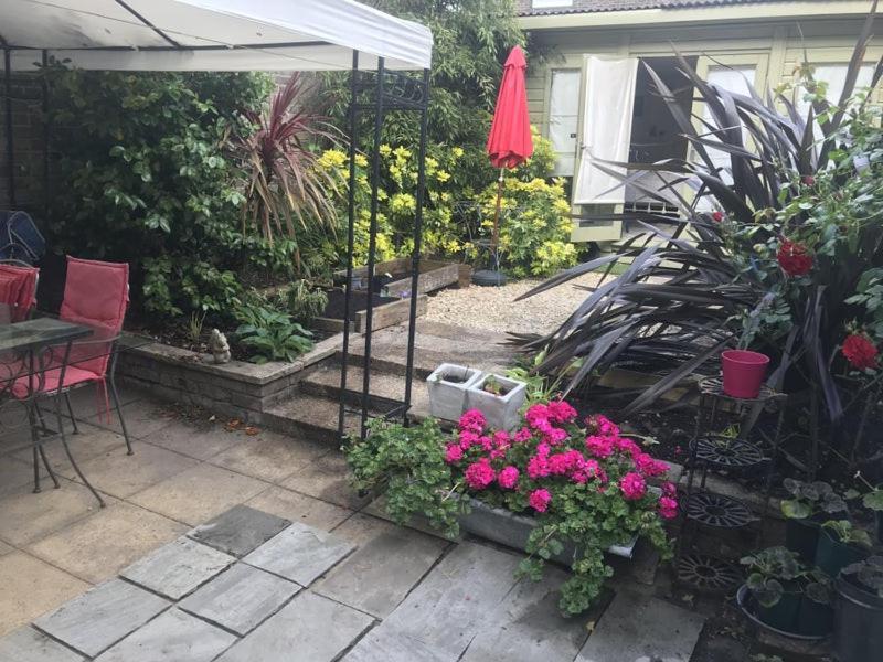 2 Bed Lovely Garden Flat Nr Wandsworth Common 伦敦 外观 照片